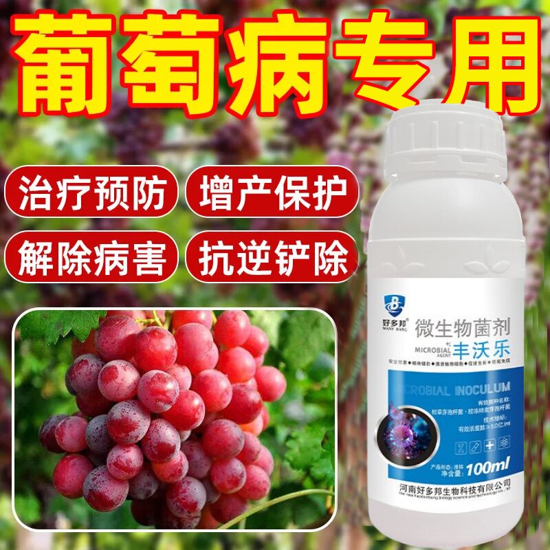 葡萄病菌清专用微生物杀菌剂黑痘白粉褐斑果腐白粉病炭疽病霜霉病