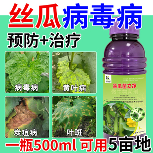 丝瓜专用杀菌剂丝瓜枯萎霜霉锈病白粉黄斑炭疽卷叶软腐菌核病杀菌