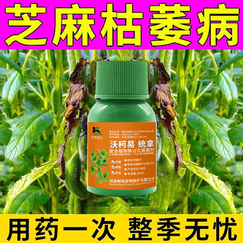 芝麻枯萎专用芝麻黄叶枯萎死苗烂根斑点干尖芝麻抗病增产叶面肥