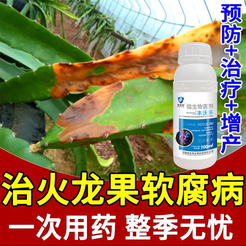 火龙果病全治火龙果病药火龙果软腐病药火龙果杀菌剂火龙果专用药