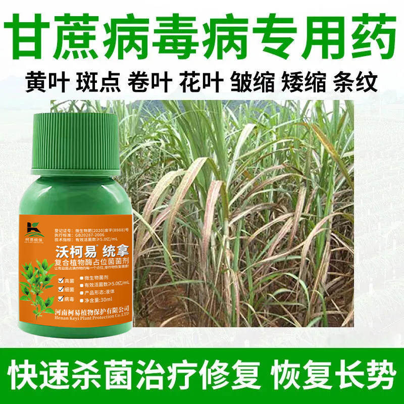 甘蔗稍腐病专用杀菌剂甘蔗锈病叶斑病黑穗赤腐病黄叶黄化病病全治