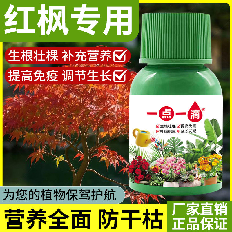 红枫树专用肥营养液枫树盆栽枫叶家用植物浓缩通用液体肥料