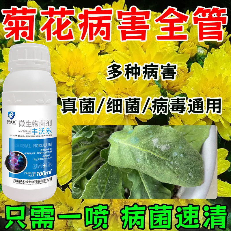 菊花专用菊花病全治菊花万寿菊白粉病褐斑病黄叶枯萎病疫病肥料