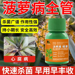 凤梨菠萝专用药杀菌剂凤梨病通用凋萎心腐曲颈绿萎病通用型杀菌剂