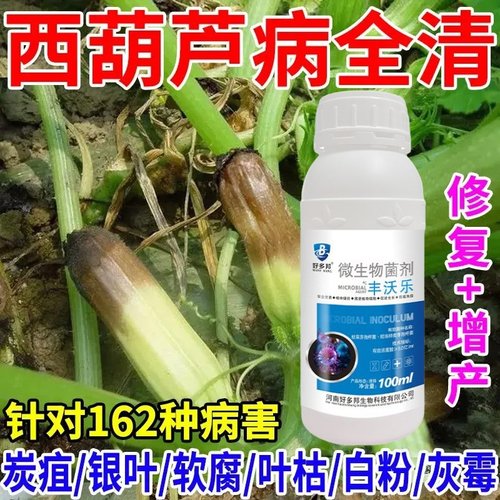西葫芦专用药花叶白粉灰霉病毒病特效杀菌剂中量元素水溶叶面肥料
