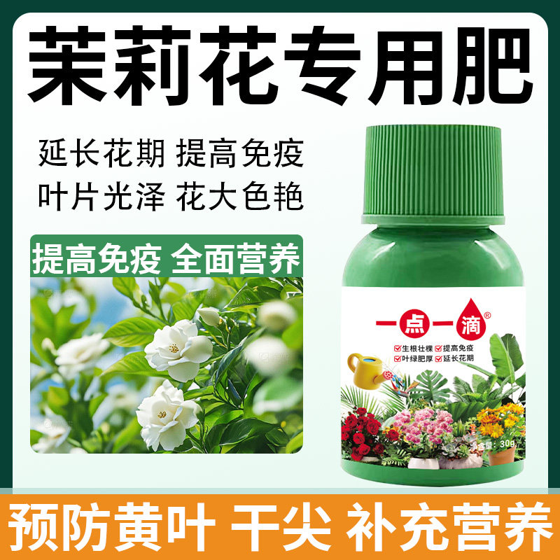 茉莉花营养液黄叶一喷绿专治叶子枯萎干焦掉落高效浓缩液体肥