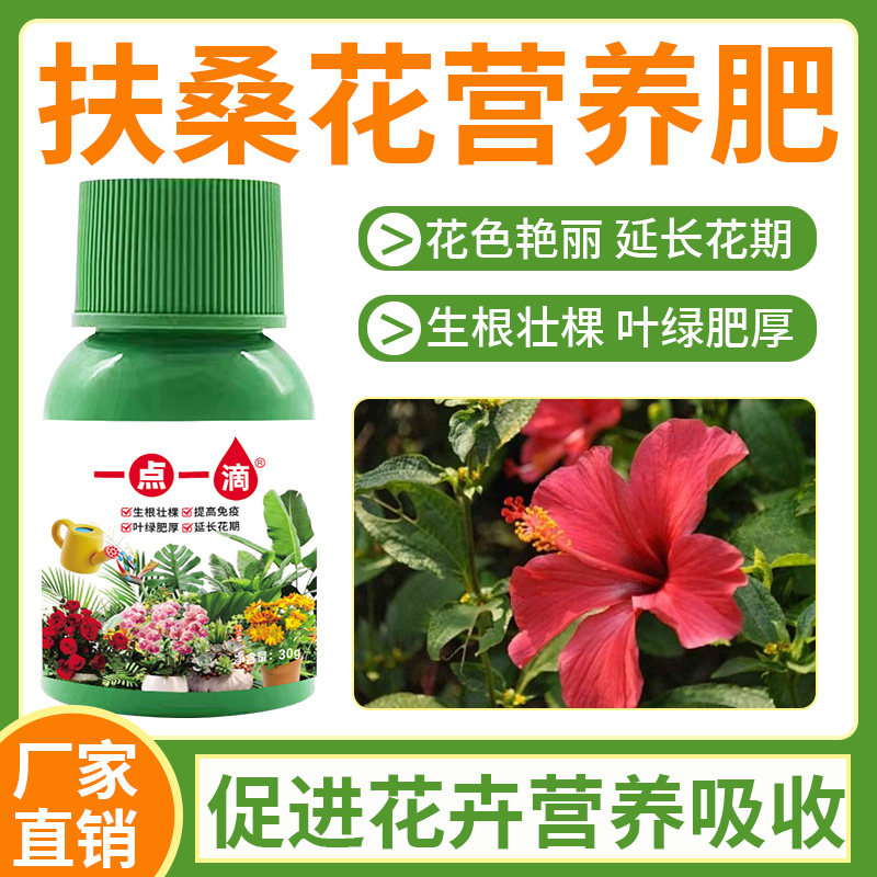 扶桑花黄叶病营养液木槿花叶子发黄掉花苞专用肥重瓣朱瑾养花肥料
