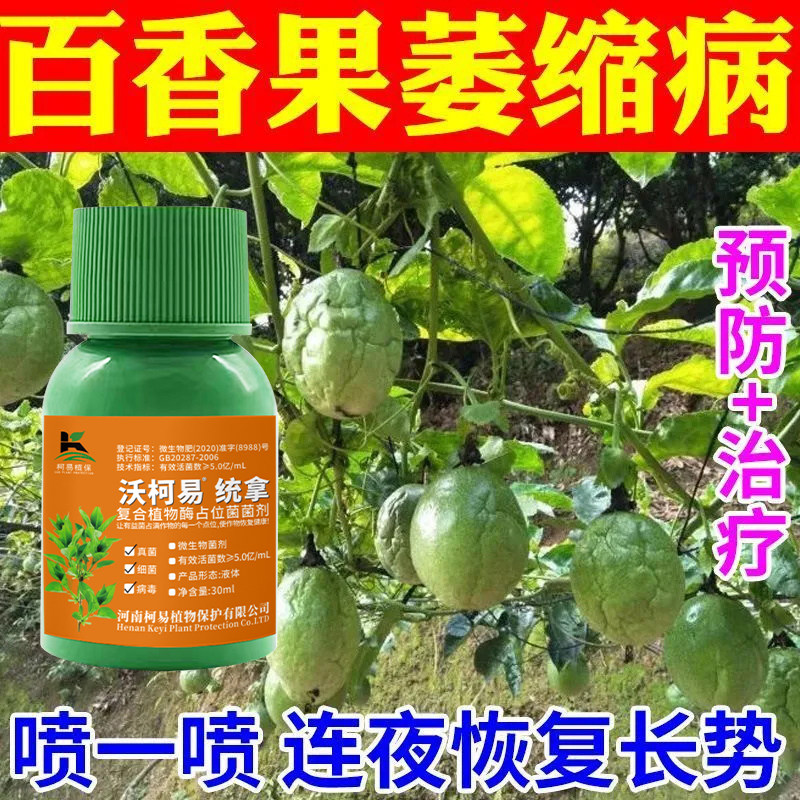百香果病全治花叶病毒病疫病黄化病卷叶病皱果病百香果病清杀菌剂