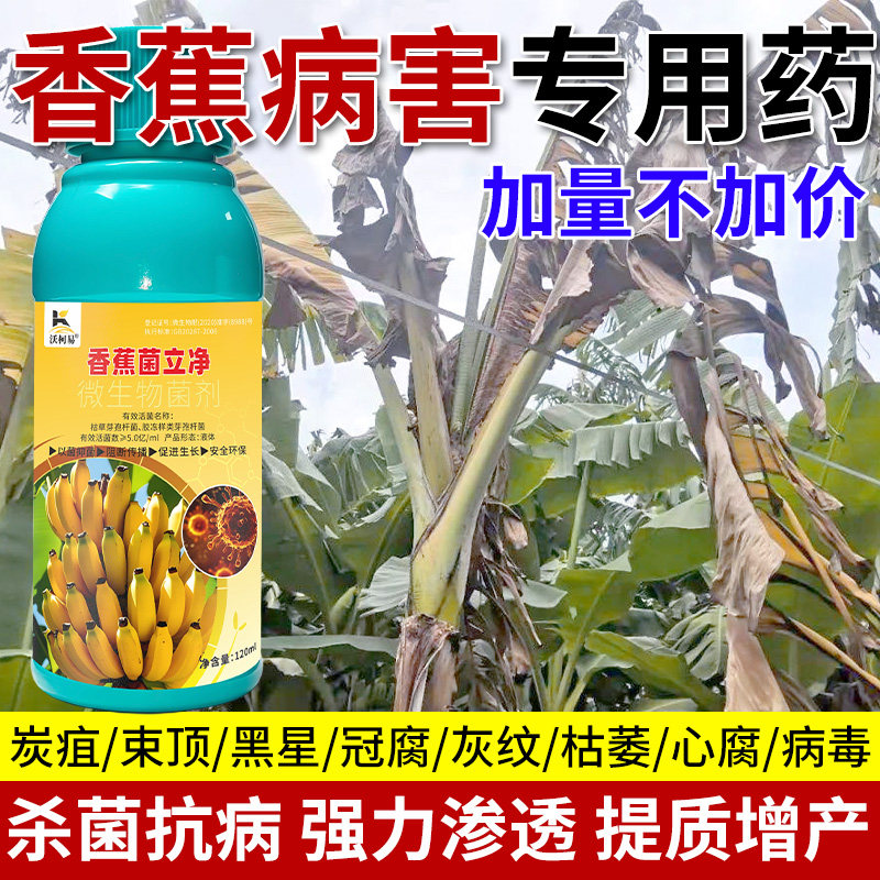沃柯易香蕉菌立净香蕉黄叶病黑星病炭疽病香蕉枯萎病根腐病专用药