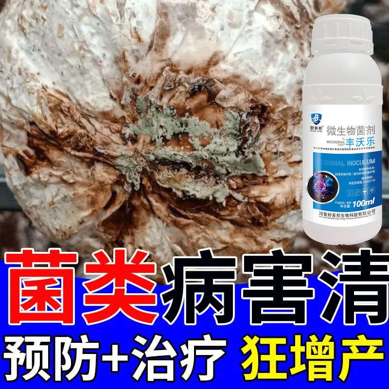 香菇菌绿霉菌专用药杂菌病害清平菇香菇菌类绿霉菌净细菌性斑点