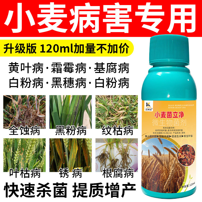 小麦菌立净小麦病害清黄叶霜霉基腐白粉黑穗纹枯锈病根腐杀菌剂