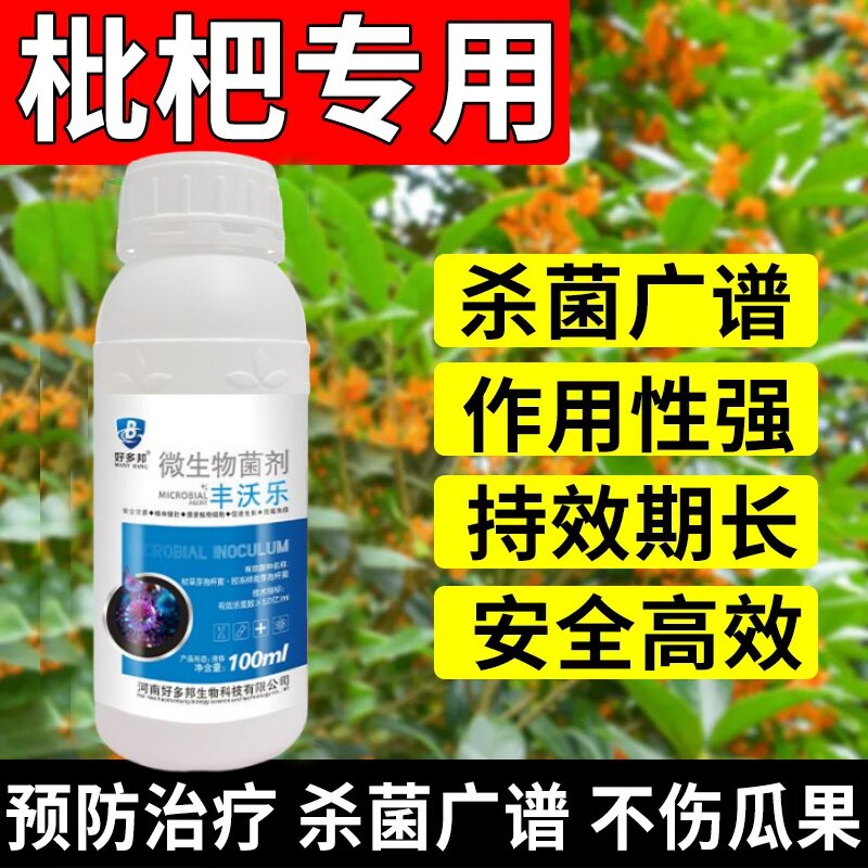 枇杷病全治枇杷专用杀菌剂花腐病灰斑病斑点病炭疽病胡麻色斑点病