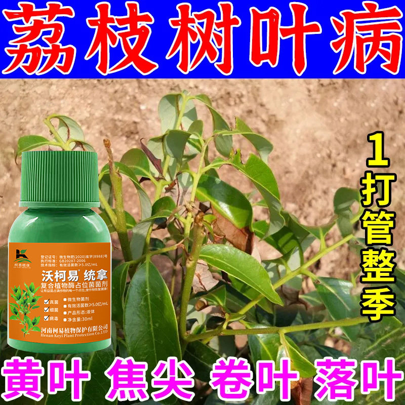 荔枝病荃管荔枝专用杀菌剂霜霉病疫病酸腐炭疽病白粉病快速杀菌药