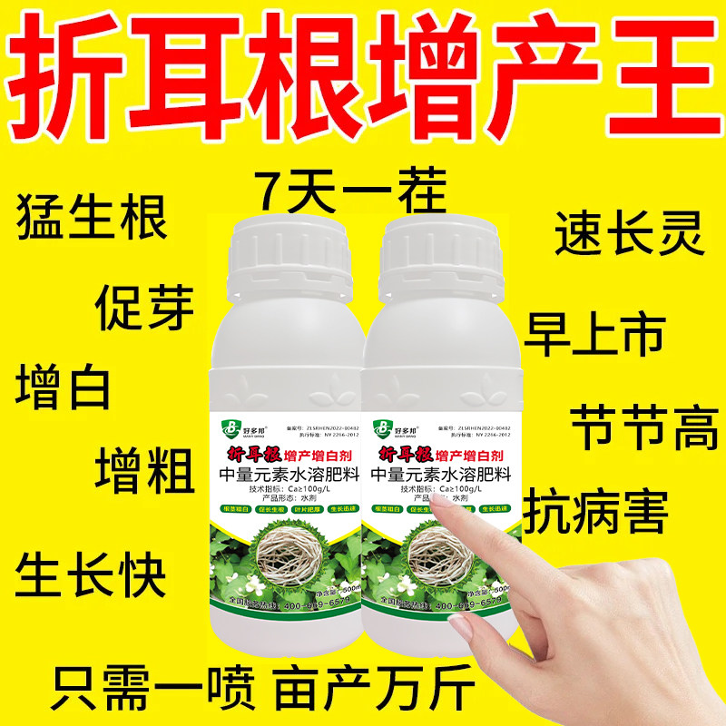 鱼腥草速长剂增白剂专用生根增粗折耳根速长灵快速发根抗病叶面肥