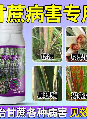 甘蔗病全治专用杀菌剂甘蔗凤梨赤腐黑穗梢腐红壳心腐根腐褐斑锈病