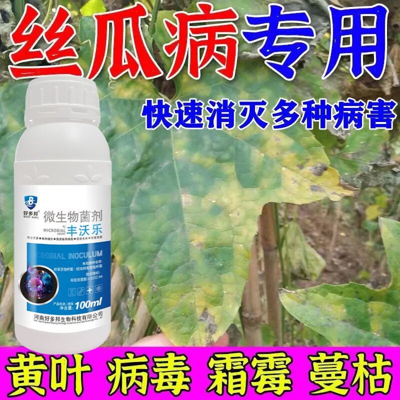 丝瓜病害清丝瓜病全治丝瓜果腐病枯萎病霜霉病丝瓜病害专用清菌剂