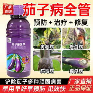 茄子病专用茄子炭疽病霜霉灰霉叶斑白粉茄子黄萎病菌核褐纹绵疫病