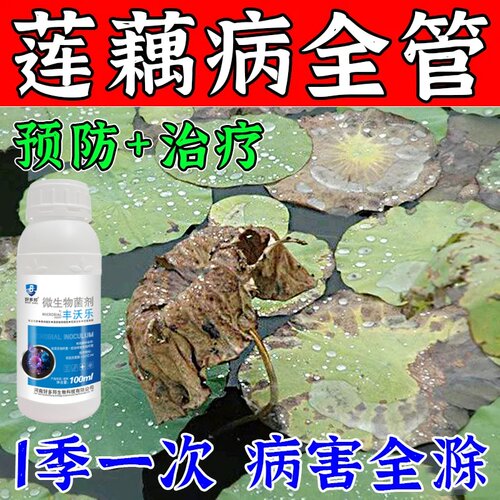莲藕病全治莲藕杀菌剂病毒病褐纹微生物菌剂快速杀菌腐败病褐斑病