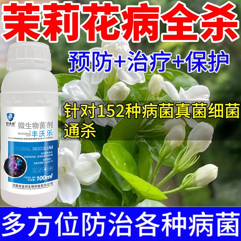 茉莉花杀菌剂茉莉花病专治微生物菌剂茉莉花病害专用茎基腐病白绢