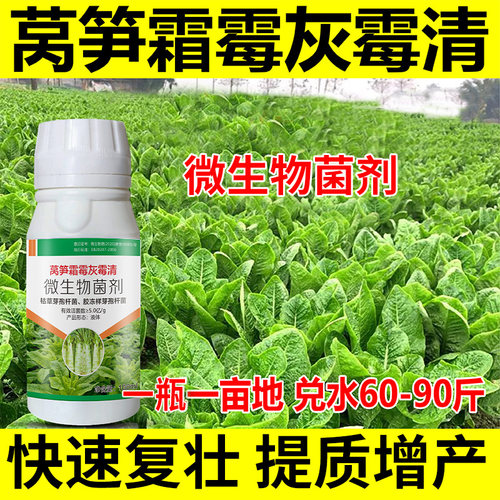 莴笋软腐病专用杀菌剂杀菌药菌核病炭疽病灰霉病茎腐病莴笋病全管
