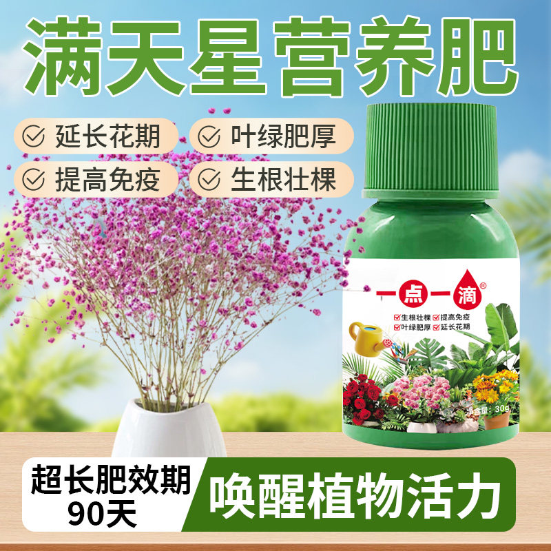 满天星营养液专用肥料满天星营养液花肥盆栽绿植水培植花卉通用型