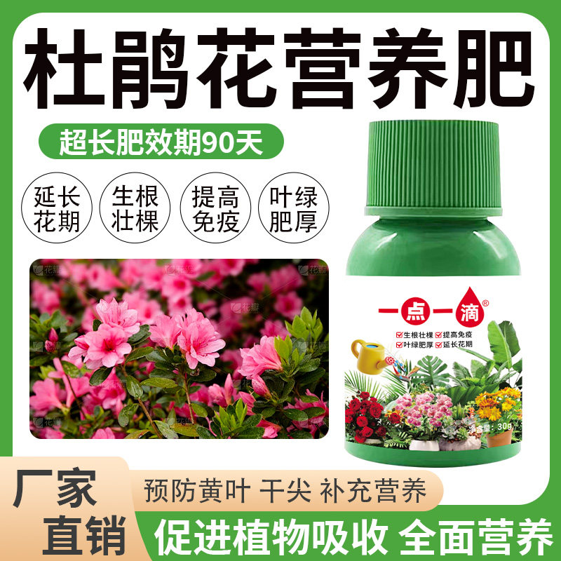 杜鹃花专用肥营养液改善黄叶促开花水溶肥家用盆栽通用型液体肥