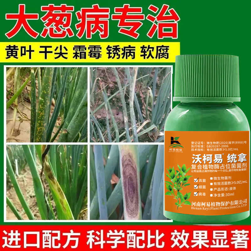 大葱韭菜干尖灵葱蒜专用药黄叶干尖根腐叶斑锈病发霉软防治杀菌剂