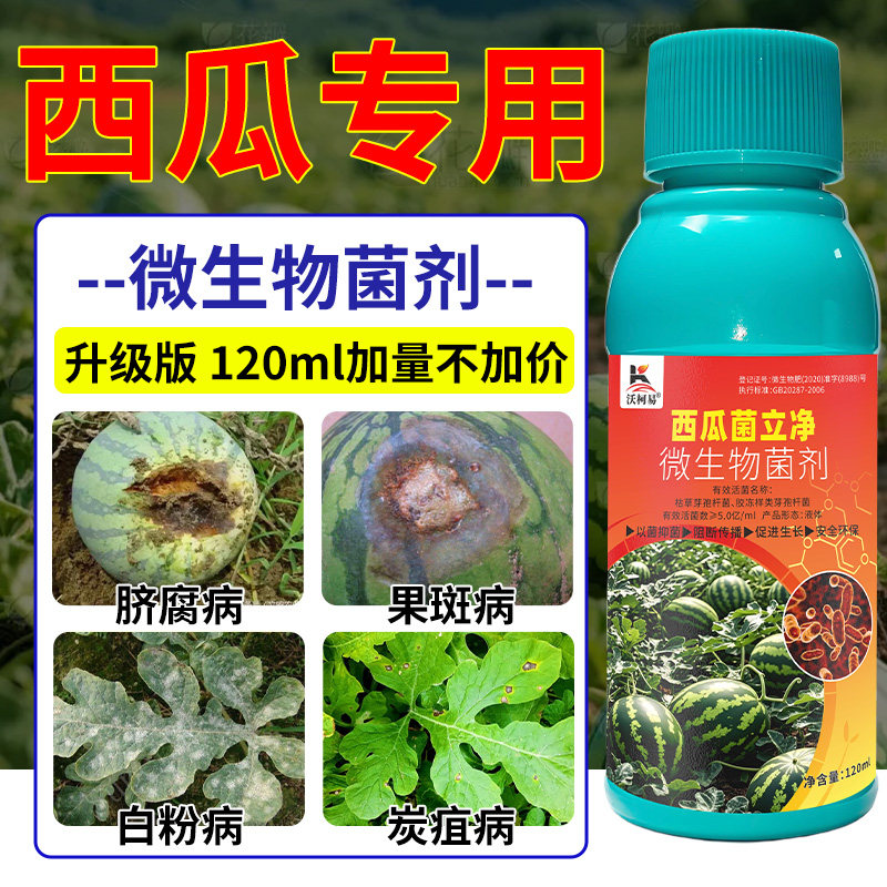 沃柯易西瓜菌立净西瓜蔓枯病白粉炭疽疫病卷叶枯萎猝倒霜霉专用药