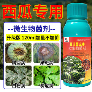 沃柯易西瓜菌立净西瓜蔓枯病白粉炭疽疫病卷叶枯萎猝倒霜霉专用药