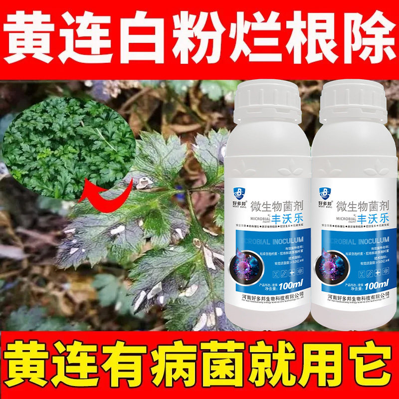 黄连病害清黄连专用药黄连病红叶黄叶黑叶死苗烂根专用微生物菌剂