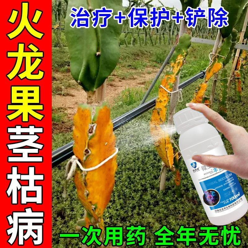 火龙果专用肥料火龙果病全治炭疽病黄斑病软腐病茎枯溃疡病专用药