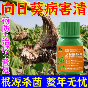 正品向日葵专用根腐烂头病向日葵花油葵烂盘子菌核病药微生物菌剂