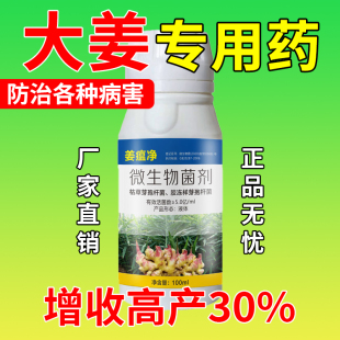 大姜沙姜病专用姜瘟病一扫清大姜烂脖子根腐病干尖黄叶杀菌剂