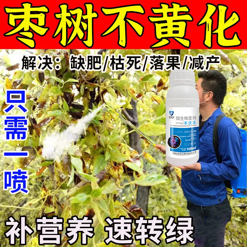 青枣病害强效杀菌剂枣树病全治青枣锈病青斑病白粉病炭疽病专用药