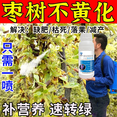 青枣病害强效杀菌剂枣树病全治青枣锈病青斑病白粉病炭疽病专用药