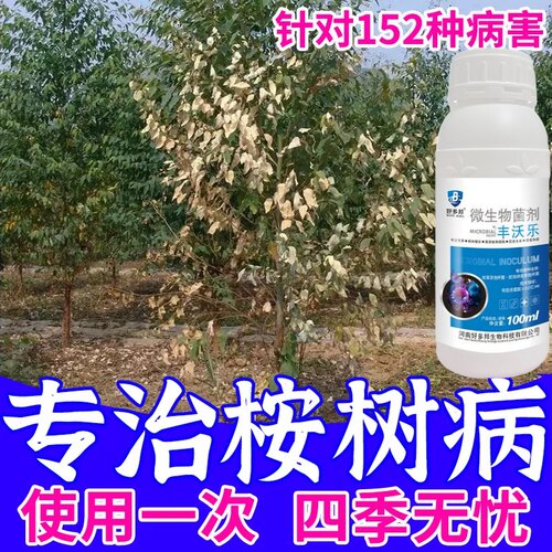 桉树虫害剂青枯焦枯灰霉病桉扁蛾紫斑病杀菌剂药桉树专用肥一喷清