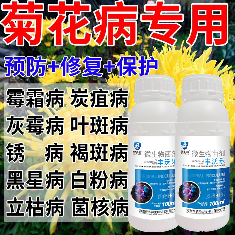 菊花专用杀菌剂防治菊花万寿菊病害白粉病炭疫病枯萎病菊花病全管