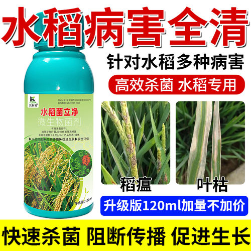 沃柯易水稻菌立净纹枯稻瘟黑穗条斑稻曲白叶霜霉根腐白粉专用药