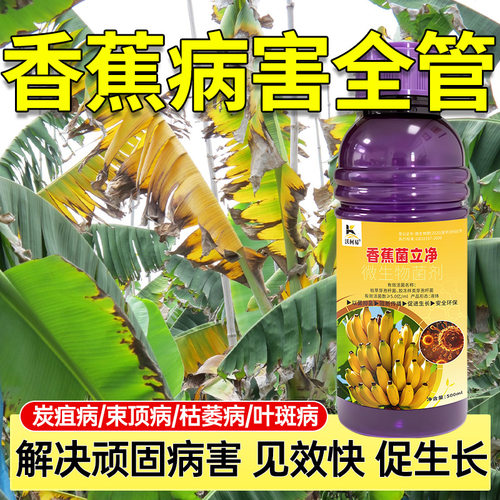 沃柯易香蕉菌立清香蕉巴拿马病黄叶枯萎病根腐病炭疽病黑星病专用