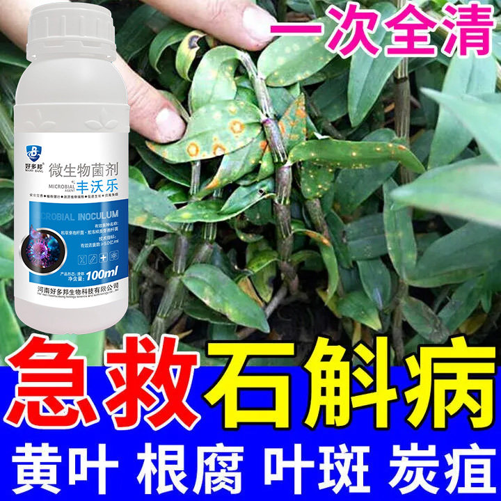 石斛兰病专用防黄叶落叶叶斑促开花石斛兰生根壮苗补营养用杀菌肥