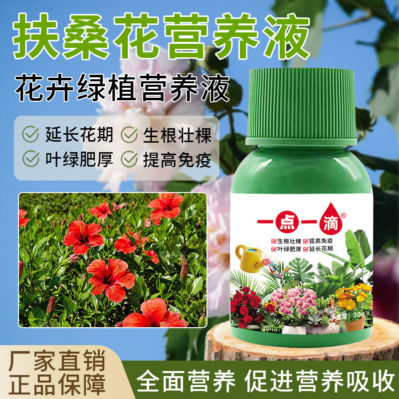 扶桑花营养液防黄叶掉花苞重瓣盆栽朱瑾花木槿花养花专用肥料家用