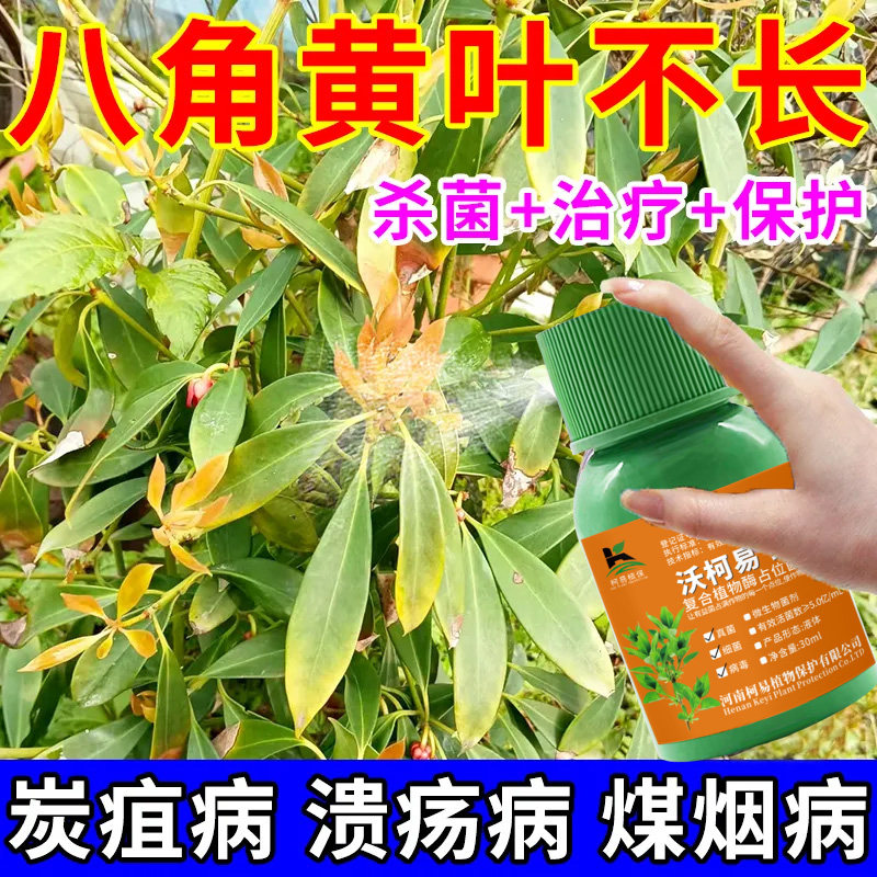 八角药病全治八角杀菌剂微生物菌剂叶子枯萎炭疽病烟煤病落叶病药
