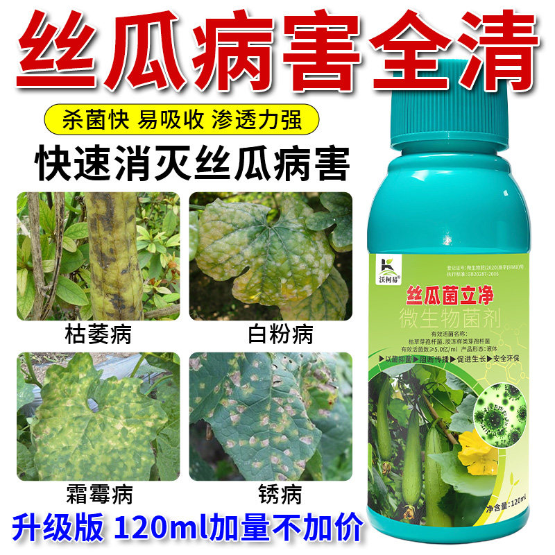 丝瓜菌立净丝瓜病害清枯萎霜霉锈病黄斑炭疽卷叶软腐菌核杀菌剂