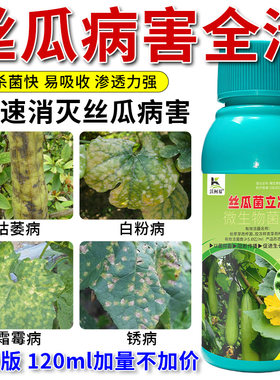 丝瓜菌立净丝瓜病害清枯萎霜霉锈病黄斑炭疽卷叶软腐菌核杀菌剂