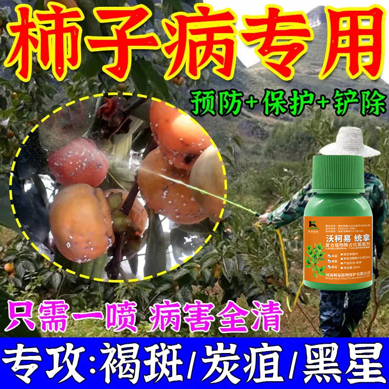 柿子树病全治柿子杀菌剂炭疽病煤污病圆斑病叶枯黑点病防落果专用