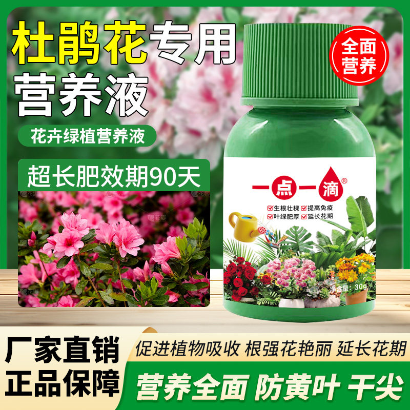 杜鹃花营养液花卉专用肥有机肥料酸性植物养花家用盆栽花肥通用型