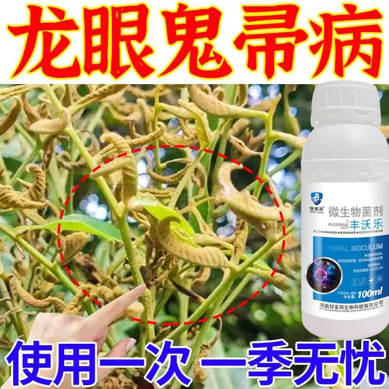 龙眼树病害专用药龙眼地衣龙眼病全治鬼帚病炭疽白星全能杀菌剂