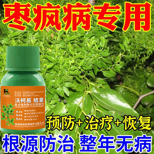 枣疯病专用药枣树病全治小叶黄叶炭疽缩果卷叶病褐腐病农用叶面肥