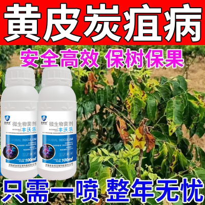 黄皮果树病害专用药黄皮病全治炭疽病梢腐病疫病根腐病黄皮杀菌剂