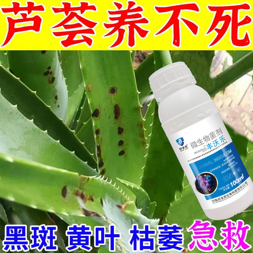 芦荟除菌剂枯萎叶片长黑斑黑腐烂根掉叶白粉白斑病害病害通用正品